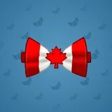 Bow Tie #3374