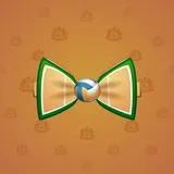 Bow Tie #3507