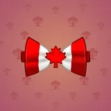 Bow Tie #3518