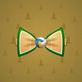Bow Tie #3615