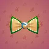 Bow Tie #3704