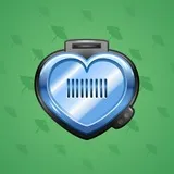 Heart Locket #229