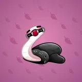 Pet Snake #9280