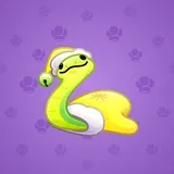 Pet Snake #9631