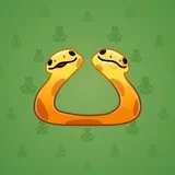 Pet Snake #9905