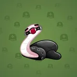 Pet Snake #9934