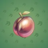 Precious Peach #2354