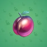 Precious Peach #2403