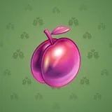 Precious Peach #2424
