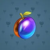 Precious Peach #2435