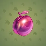 Precious Peach #2447