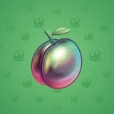 Precious Peach #2474