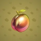 Precious Peach #2559