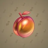 Precious Peach #2584