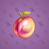 Precious Peach #2701