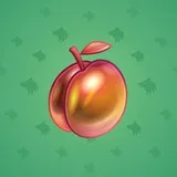 Precious Peach #2717