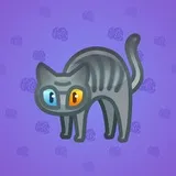 Scared Cat #17204