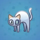 Scared Cat #17453