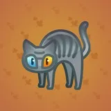 Scared Cat #17616