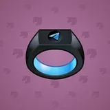 Signet Ring #8531