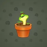 Snake Box #8905