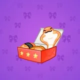 Snake Box #8918