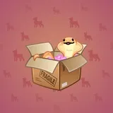 Snake Box #9215