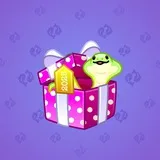 Snake Box #9763