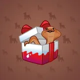 Snake Box #9808