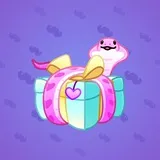 Snake Box #9811