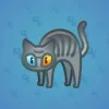 Scared Cat #11422