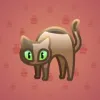 Scared Cat #6947