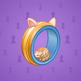 Bonded Ring #3975