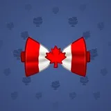 Bow Tie #1624