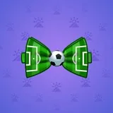 Bow Tie #1748