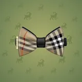 Bow Tie #1852