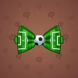 Bow Tie #2248