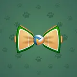 Bow Tie #2409