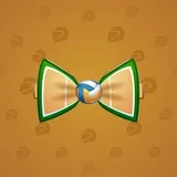 Bow Tie #2920