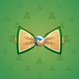 Bow Tie #312