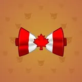 Bow Tie #3169