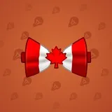 Bow Tie #3252