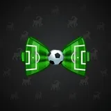 Bow Tie #3421