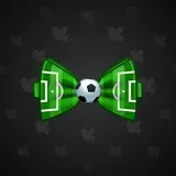 Bow Tie #3686