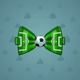 Bow Tie #3732