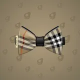 Bow Tie #3867