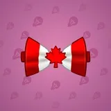 Bow Tie #4003