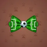 Bow Tie #572