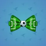 Bow Tie #843