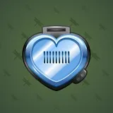 Heart Locket #799